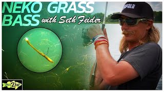 Seth Feiders Tips for Neko Rigging Summertime Bass [upl. by Marvin]