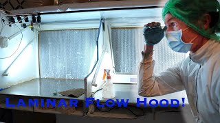 What is a Laminar Flow hood Check out our homemade Laminar Flow Hood for our Mushroom Grow [upl. by Cornelle642]