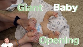 Giant Reborn Baby Box Opening  Kelli Maple [upl. by Gnav]