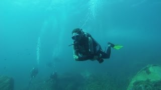 Mergulho de Cilindro em Fernando de Noronha [upl. by Glynias479]