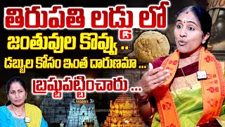 Tirumala Laddu Issue News  Kondaveeti Jyothirmayi Reveals Shocking Facts In TTD  NIrupama [upl. by Elimaj]