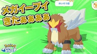 【ポケモンスリープ】新種のブイズ！！？メガイーブイ！！？これがイーブイウィークか！！！！ [upl. by Lleda]