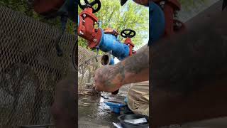 Zurn Backflow Preventer Repair AZ [upl. by Marlane222]