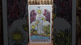 Temperance Tarot Meaning wisdom expansion journey angels majorarcana sagittarius patience [upl. by Anilehs]