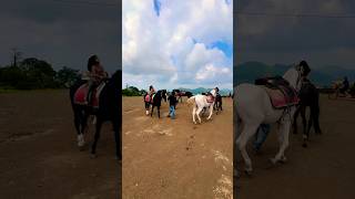 Dhruhi amp Dhruvi Horse 🐎 Riding horse horses ghoda horseriding horselover ytvideo shortsfeed [upl. by Yenffit]