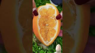 fruit naturallifeb satisfying naturalclips fruitcutting naturelife food jackfruit plants [upl. by Regina]