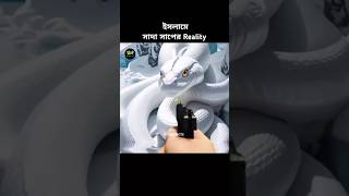 ইসলামে সাদা সাপের Reality shorts snake islam [upl. by Ellenor]