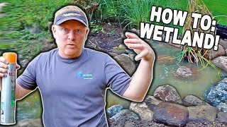 How to Build a Wetland Filter for an Existing POND [upl. by Abbye]