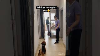 Don’t miss the end🥲short explore funny beagle video viral short [upl. by Schroder162]