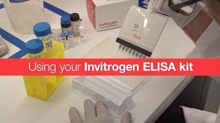 Using your Invitrogen ELISA kit [upl. by Leamiba]