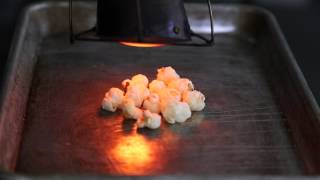 FWxLabs Watch Popcorn Set on Fire  Food amp Wine [upl. by Ahsrat340]