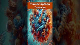 🧬 Transcriptasa Inversa🦠 [upl. by Neryt]