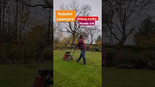 Lawncare in autumn 🍁 Using the weibang scarifier and honda HRH mower to pick up lawncare me lawn [upl. by Attej408]