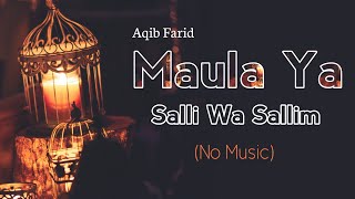 Maula Ya Salli Wa Sallim  slowed amp reverb [upl. by Ahsiekahs]