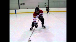 Hockey Shots In Slow Motion Must See [upl. by Ansela]