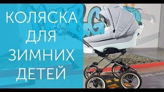 Коляска для зимних детей  Обзор колясок для зимы [upl. by Atlee]