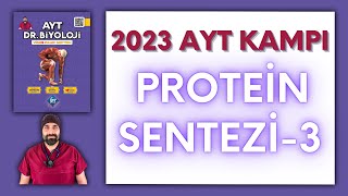 Genden Proteine3 AYT Biyoloji Kampı Konu Anlatımı 12Sınıf 2024 Tayfa [upl. by Treharne]