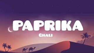 Ghali  PAPRIKA  TestoLyrics [upl. by Adnilem]