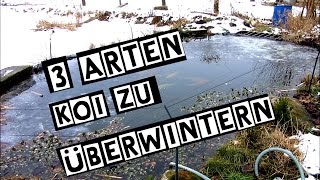 3 Arten Koi zu überwintern [upl. by Ecyla]