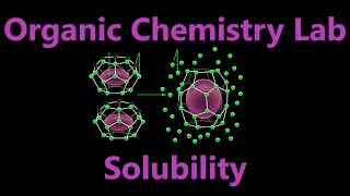 Solubility and Solutions  Organic Chemistry Lab Techniques [upl. by Aisirtap102]