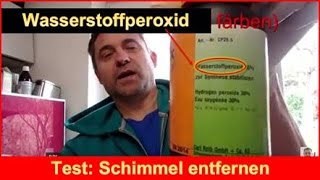 Test Schimmel entfernen mit Wasserstoff Peroxid [upl. by Yaron]