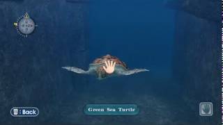 Lets Play Endless Ocean Episode 12 Ca Ongs Underwater Puzzle Temple [upl. by Elaynad859]