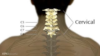 5B Levels of Injury Explained  Low Cervical  Spinal Cord Injury 101 [upl. by Lark]