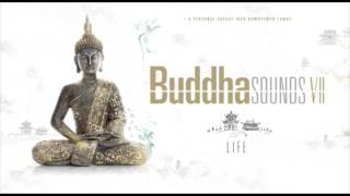 Buddha Sounds Vol 7 quotLIFEquot  Full Album  The complete 15 songs record [upl. by Anerul593]