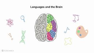 Why Do I Need to Know What Plurilingualism is [upl. by Gabi]