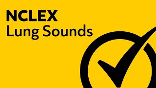 Lung Sounds  NCLEX Review [upl. by Lorilee453]