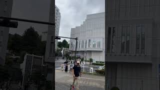 Walking around Yokosuka City Japan 🇯🇵 shortvideo shorts [upl. by Yates901]