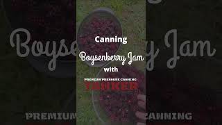 DIY Homemade Boysenberry Jam [upl. by Parcel]