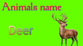 Deer ko hindi mein kya bolate hain  Deer meaning in hindi  Deer  हिरण  Spelling [upl. by Onek844]