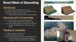 APES Video Notes for 52  Clearcutting [upl. by Noivart]