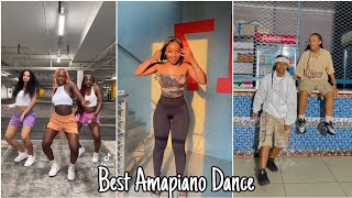 TikTok Amapiano Dance Compilation 2024  Best Viral Moves [upl. by Leraj281]