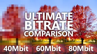 Whats the Best Bitrate for the Best Video Quality on YouTube 1080p 1440p 4K [upl. by Roshan]