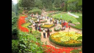 Botanical Garden Ooty [upl. by Mott]