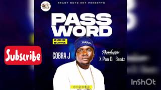 PasswordCobra J Official Audio [upl. by Gordan]