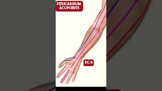 The Pericardium Meridian Acupuncture Points [upl. by Einhorn58]