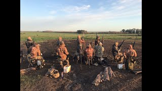 Dove Hunting in Argentina Only 2 Hours from Buenos Aires [upl. by Milson]