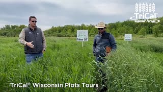 Intro to Wisconsin Plot Tours [upl. by Merriman]