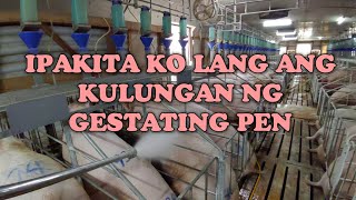 KULUNGAN NG GESTATING PEN [upl. by Aydiv]