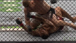 UFC Fight Night Sydney 55 Prelims Sam Alvey vs Dylan Andrews BIG KO WIN Reenactment [upl. by Arata]