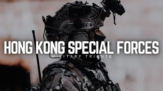 HONG KONG SWAT TEAMS  SDU RRT  MILITARY TRIBUTE [upl. by Allianora]