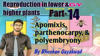 apomixis  parthenocarpy  polyembryony  part 14 reproduction in lower and higher plants [upl. by Sidhu]