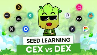 CEX vs DEX How to Choose the Best Exchange for your Crypto  SEED Learning 8 [upl. by Nnaylrebmik]