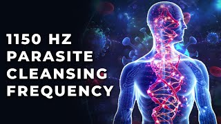 1150 Hz Rife Frequency for Parasite Cleansing – 1150Hz Astral Parasite Frequency Healing Music [upl. by Col512]