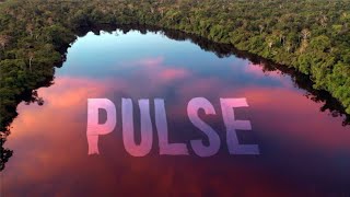 Rising Appalachia  Dirtwire  Pulse Official Video [upl. by Celisse657]