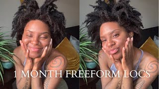 1 month freeform Locs [upl. by Kerry]