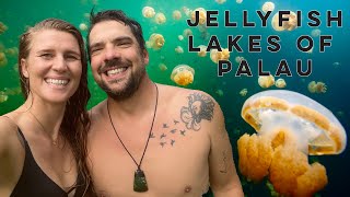 Diving into a DEADLY Jellyfish Lake in PALAU 😳 Part 2 [upl. by Yeniar303]